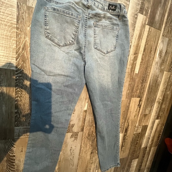 Earl Jeans Light Blue Straight Leg with Embroidery - Picture 4 of 4
